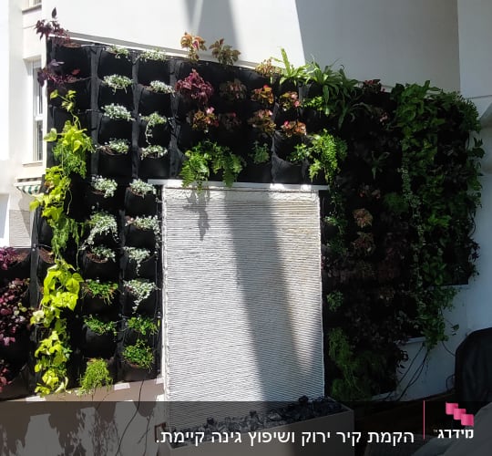 קיר ירוק עם צמחים בעציצים תלויים על קיר חיצוני